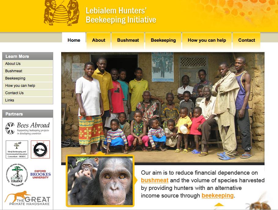 Monkey Hunters Become Beekeepers Instead in Africa